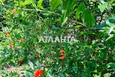 Дом по адресу (площадь 58,3 м²) - imageAlt 39 Дом по адресу (площадь 58,3 м²) - Atlanta.ua - imageAlt 39
