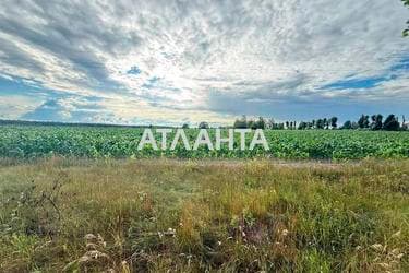 Участок по адресу ул. Тихая (площадь 12 сот) - imageAlt 9 Участок по адресу ул. Тихая (площадь 12 сот) - Atlanta.ua - imageAlt 9