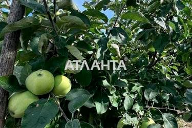 Будинок за адресою вул. Хмельницкого Богдана (площа 160 м²) - фото 85 Будинок за адресою вул. Хмельницкого Богдана (площа 160 м²) - Atlanta.ua - фото 85