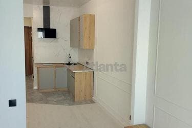 1-комнатная квартира по адресу ул. Боровского Николая (площадь 30 м²) - imageAlt 10 1-комнатная квартира по адресу ул. Боровского Николая (площадь 30 м²) - Atlanta.ua - imageAlt 10