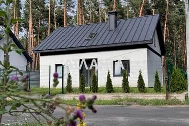 Дом по адресу ул. Лесная (площадь 130 м²) - imageAlt 53 Дом по адресу ул. Лесная (площадь 130 м²) - Atlanta.ua - imageAlt 53