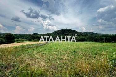 Участок по адресу ул. Бридок (площадь 20,1 сот) - imageAlt 7 Участок по адресу ул. Бридок (площадь 20,1 сот) - Atlanta.ua - imageAlt 7