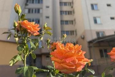 1-кімнатна квартира за адресою вул. Чикаленко Євгенія (площа 45 м²) - фото 41 1-кімнатна квартира за адресою вул. Чикаленко Євгенія (площа 45 м²) - Atlanta.ua - фото 41