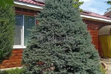 Дом по адресу ул. Дмитрия Горбунова (площадь 150 м²) - фото 16 Дом по адресу ул. Дмитрия Горбунова (площадь 150 м²) - Atlanta.ua - фото 16