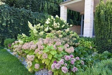 Будинок за адресою вул. Бризова (площа 560 м²) - фото 94 Будинок за адресою вул. Бризова (площа 560 м²) - Atlanta.ua - фото 94