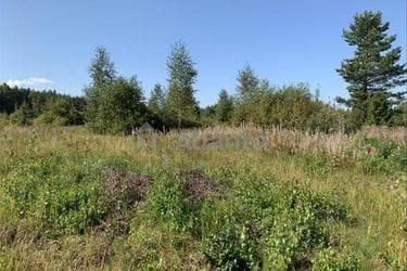 Участок по адресу ул. Черноморская (площадь 9,9 сот) - imageAlt 7 Участок по адресу ул. Черноморская (площадь 9,9 сот) - Atlanta.ua - imageAlt 7