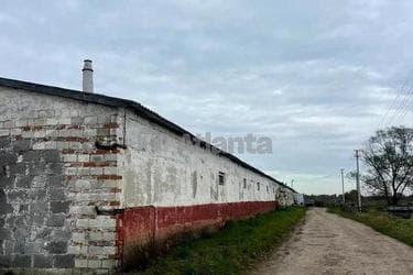 Коммерческая недвижимость по адресу ул. Веселая (площадь 1100 м²) - imageAlt 10 Коммерческая недвижимость по адресу ул. Веселая (площадь 1100 м²) - Atlanta.ua - imageAlt 10