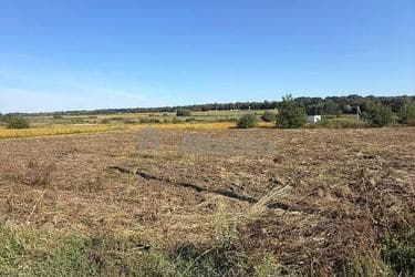 Участок по адресу (площадь 12 сот) - imageAlt 13 Участок по адресу (площадь 12 сот) - Atlanta.ua - imageAlt 13