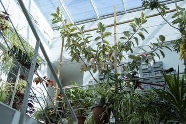 1-комнатная квартира по адресу ул. Рыбацкая (площадь 29 м²) - imageAlt 23 1-комнатная квартира по адресу ул. Рыбацкая (площадь 29 м²) - Atlanta.ua - imageAlt 23