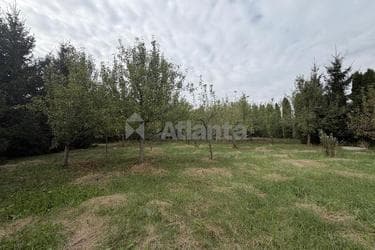 Дом по адресу Буковинський пров. (площадь 180 м²) - imageAlt 38 Дом по адресу Буковинський пров. (площадь 180 м²) - Atlanta.ua - imageAlt 38