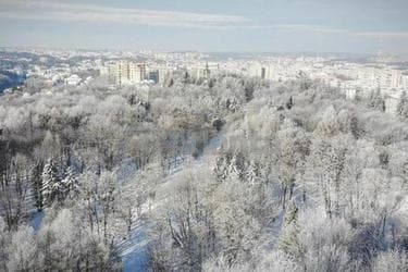 2-комнатная квартира по адресу Липовая Аллея ул. (площадь 83 м²) - imageAlt 16 2-комнатная квартира по адресу Липовая Аллея ул. (площадь 83 м²) - Atlanta.ua - imageAlt 16