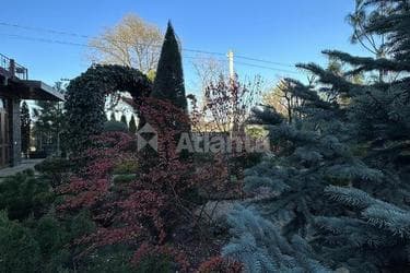 Участок по адресу (площадь 5 сот) - imageAlt 12 Участок по адресу (площадь 5 сот) - Atlanta.ua - imageAlt 12