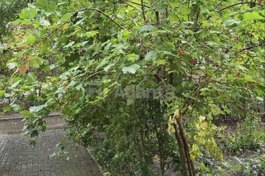 3-кімнатна квартира за адресою вул. Ільфа та Петрова (площа 65,3 м²) - фото 19 3-кімнатна квартира за адресою вул. Ільфа та Петрова (площа 65,3 м²) - Atlanta.ua - фото 19