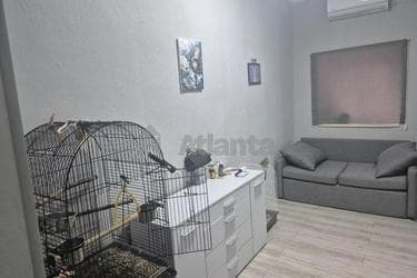 2-комнатная квартира по адресу ул. Раскидайловская (площадь 30 м²) - фото 17 2-комнатная квартира по адресу ул. Раскидайловская (площадь 30 м²) - Atlanta.ua - фото 17