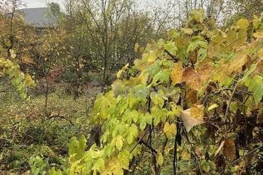 Дача за адресою вул. Таджицька (площа 34 м²) - фото 12 Дача за адресою вул. Таджицька (площа 34 м²) - Atlanta.ua - фото 12