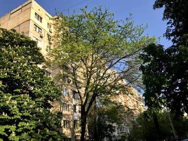 3-комнатная квартира по адресу ул. 15-я линия (площадь 62 м²) - фото 16 3-комнатная квартира по адресу ул. 15-я линия (площадь 62 м²) - Atlanta.ua - фото 16