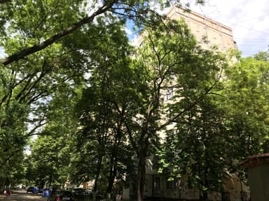 1-комнатная квартира по адресу ул. 15-я линия (площадь 35 м²) - imageAlt 12 1-комнатная квартира по адресу ул. 15-я линия (площадь 35 м²) - Atlanta.ua - imageAlt 12