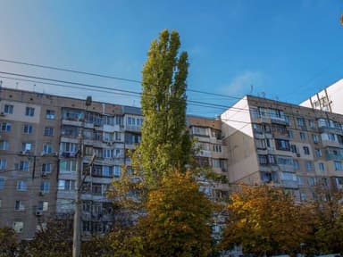 1-комнатная квартира по адресу ул. Королева ак. (площадь 35 м²) - фото 22 1-комнатная квартира по адресу ул. Королева ак. (площадь 35 м²) - Atlanta.ua - фото 22