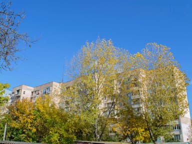 1-комнатная квартира по адресу ул. Чикаленко Евгения(Вильямса ак. ) (площадь 23 м²) - imageAlt 42 1-комнатная квартира по адресу ул. Чикаленко Евгения(Вильямса ак. ) (площадь 23 м²) - Atlanta.ua - imageAlt 42