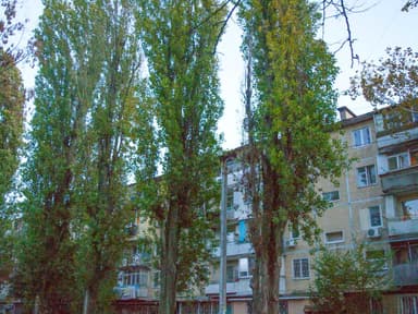2-комнатная квартира по адресу ул. 14-я линия (площадь 45 м²) - фото 21 2-комнатная квартира по адресу ул. 14-я линия (площадь 45 м²) - Atlanta.ua - фото 21