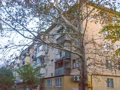 2-комнатная квартира по адресу ул. 14-я линия (площадь 45 м²) - фото 22 2-комнатная квартира по адресу ул. 14-я линия (площадь 45 м²) - Atlanta.ua - фото 22