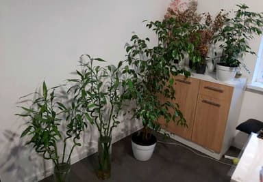 Дом по адресу ул. Экономичная (площадь 122 м²) - imageAlt 16 Дом по адресу ул. Экономичная (площадь 122 м²) - Atlanta.ua - imageAlt 16