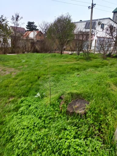 Дом по адресу ул. Заболотного ак. (площадь 50 м²) - imageAlt 12 Дом по адресу ул. Заболотного ак. (площадь 50 м²) - Atlanta.ua - imageAlt 12