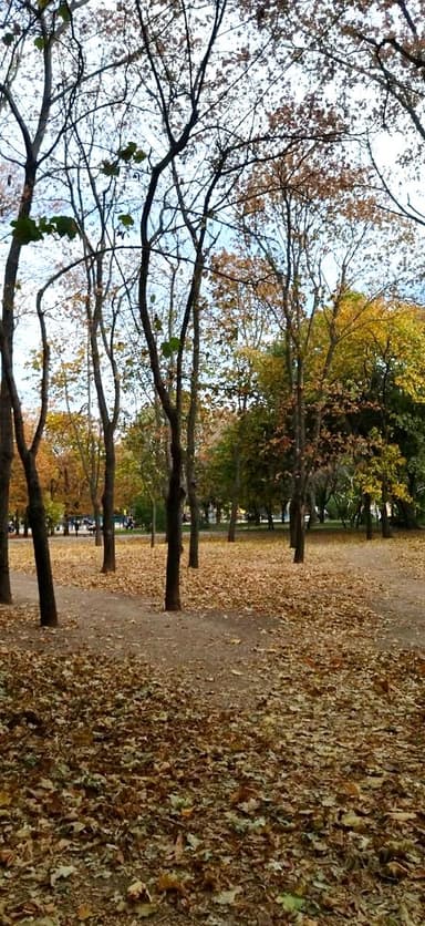 2-комнатная квартира по адресу ул. Говорова марш. (площадь 90 м²) - фото 44 2-комнатная квартира по адресу ул. Говорова марш. (площадь 90 м²) - Atlanta.ua - фото 44