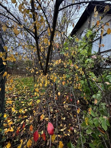 Будинок за адресою вул. Дмитрівська (площа 59 м²) - фото 15 Будинок за адресою вул. Дмитрівська (площа 59 м²) - Atlanta.ua - фото 15