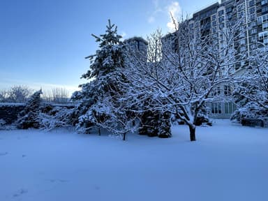Дом по адресу ул. Украинки (площадь 300 м²) - imageAlt 83 Дом по адресу ул. Украинки (площадь 300 м²) - Atlanta.ua - imageAlt 83