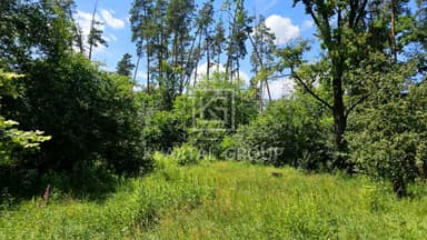 Дом по адресу (площадь 125 м²) - imageAlt 31 Дом по адресу (площадь 125 м²) - Atlanta.ua - imageAlt 31