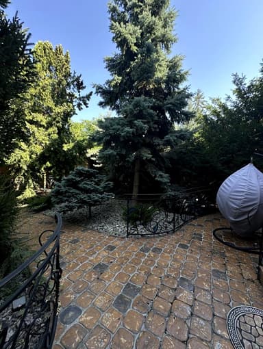 Будинок за адресою вул. Довга (площа 250 м²) - фото 25 Будинок за адресою вул. Довга (площа 250 м²) - Atlanta.ua - фото 25