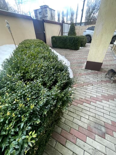 Коммерческая недвижимость по адресу ул. Ивана Выговского (площадь 290 м²) - фото 48 Коммерческая недвижимость по адресу ул. Ивана Выговского (площадь 290 м²) - Atlanta.ua - фото 48