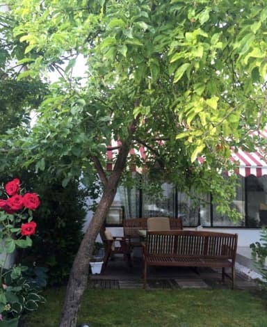Будинок за адресою вул. Академіка Корольова (площа 242 м²) - фото 44 Будинок за адресою вул. Академіка Корольова (площа 242 м²) - Atlanta.ua - фото 44