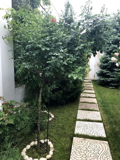 Будинок за адресою вул. Академіка Корольова (площа 242 м²) - фото 47 Будинок за адресою вул. Академіка Корольова (площа 242 м²) - Atlanta.ua - фото 47