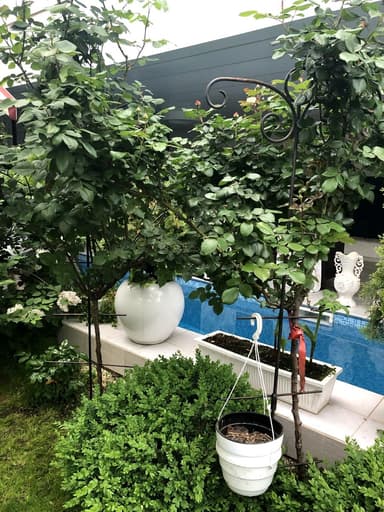 Будинок за адресою вул. Академіка Корольова (площа 242 м²) - фото 48 Будинок за адресою вул. Академіка Корольова (площа 242 м²) - Atlanta.ua - фото 48