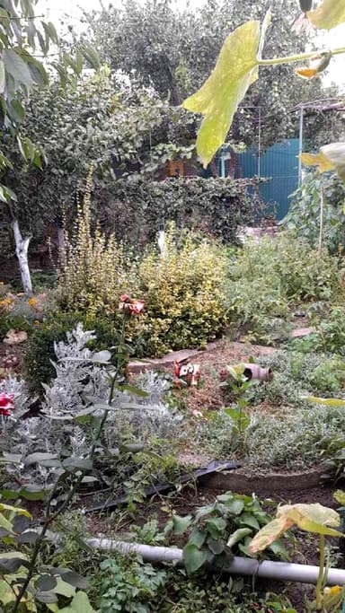 Будинок за адресою вул. Академіка Корольова (площа 58 м²) - фото 10 Будинок за адресою вул. Академіка Корольова (площа 58 м²) - Atlanta.ua - фото 10