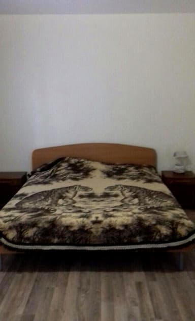 Дом по адресу ул. Канатная (площадь 45 м²) - imageAlt 13 Дом по адресу ул. Канатная (площадь 45 м²) - Atlanta.ua - imageAlt 13