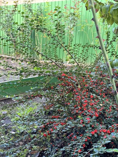 Будинок за адресою вул. Айвазовського (площа 172 м²) - фото 60 Будинок за адресою вул. Айвазовського (площа 172 м²) - Atlanta.ua - фото 60