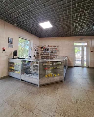 Коммерческая недвижимость по адресу ул. Раскидайловская (площадь 300 м²) - фото 18 Коммерческая недвижимость по адресу ул. Раскидайловская (площадь 300 м²) - Atlanta.ua - фото 18