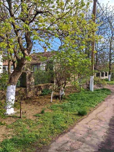 Дом по адресу ул. Грушевского Михаила (площадь 42 м²) - фото 12 Дом по адресу ул. Грушевского Михаила (площадь 42 м²) - Atlanta.ua - фото 12