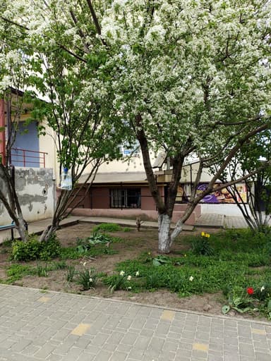 Комерційна нерухомість за адресою (площа 23 м²) - фото 9 Комерційна нерухомість за адресою (площа 23 м²) - Atlanta.ua - фото 9