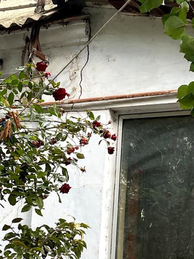 2-кімнатна квартира за адресою (площа 31,4 м²) - фото 20 2-кімнатна квартира за адресою (площа 31,4 м²) - Atlanta.ua - фото 20