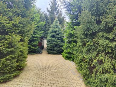 Дом по адресу ул. Кольцевая (площадь 240 м²) - imageAlt 32 Дом по адресу ул. Кольцевая (площадь 240 м²) - Atlanta.ua - imageAlt 32