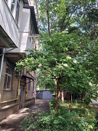3-кімнатна квартира за адресою Слєпньова пров. (площа 76 м²) - фото 32 3-кімнатна квартира за адресою Слєпньова пров. (площа 76 м²) - Atlanta.ua - фото 32