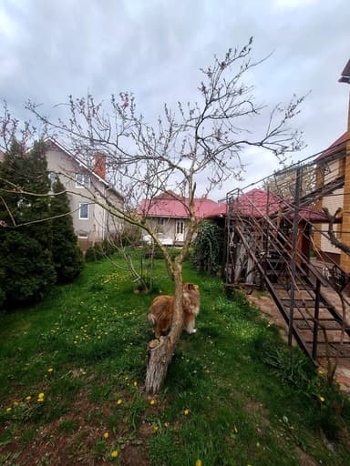 Дом по адресу ул. Франко Ивана (площадь 187 м²) - imageAlt 25 Дом по адресу ул. Франко Ивана (площадь 187 м²) - Atlanta.ua - imageAlt 25