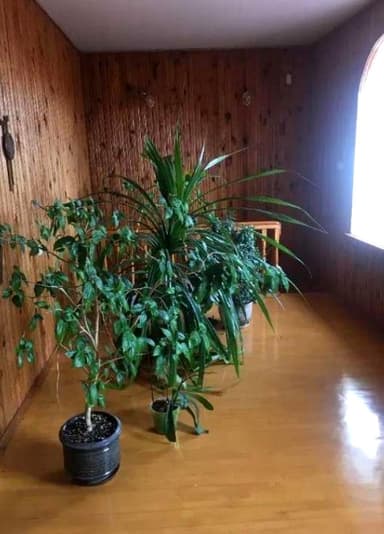 Дом по адресу ул. Соборная (площадь 344 м²) - imageAlt 21 Дом по адресу ул. Соборная (площадь 344 м²) - Atlanta.ua - imageAlt 21