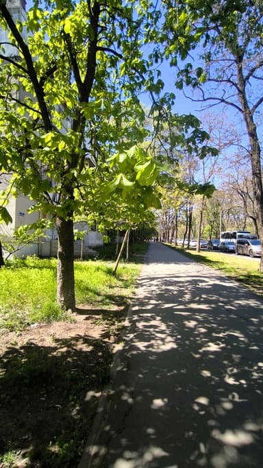 2-комнатная квартира по адресу (площадь 45 м²) - imageAlt 14 2-комнатная квартира по адресу (площадь 45 м²) - Atlanta.ua - imageAlt 14