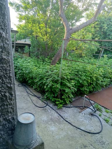 Дом по адресу ул. Житомирская (площадь 80 м²) - imageAlt 20 Дом по адресу ул. Житомирская (площадь 80 м²) - Atlanta.ua - imageAlt 20