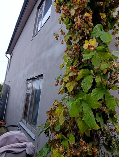 Будинок за адресою Чорноморський 8-й пров. (площа 324 м²) - фото 18 Будинок за адресою Чорноморський 8-й пров. (площа 324 м²) - Atlanta.ua - фото 18
